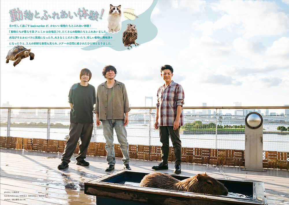 back number会報誌 back number 会報誌 - メルカリ